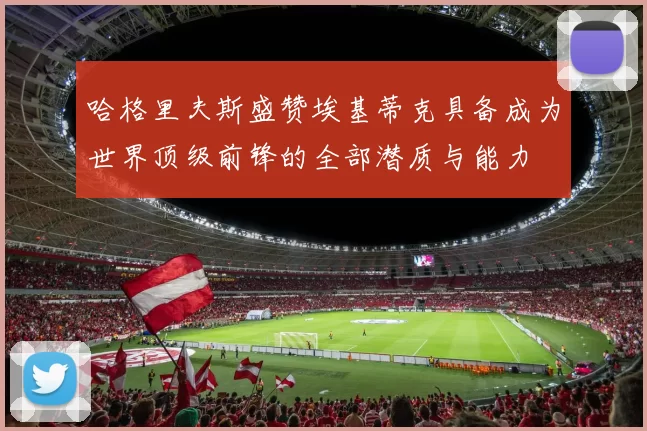 哈格里夫斯盛赞埃基蒂克具备成为世界顶级前锋的全部潜质与能力
